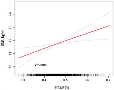 Exploring the association between muscle mass and thyroid function in Chinese community subjects over 45 years old with normal thyroid function: a cross-sectional analysis